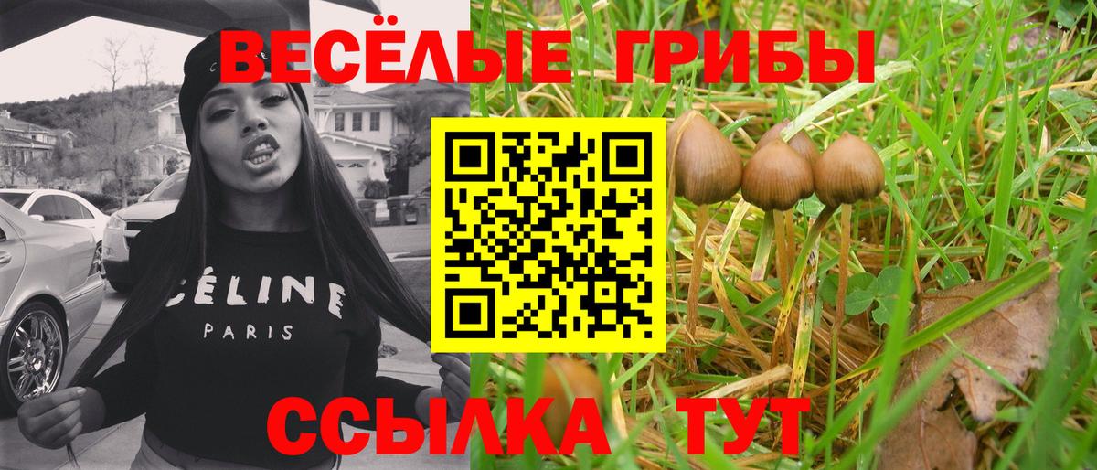 Псилоцибиновые грибы Cubensis  Вход с VPN  Псилоцибиновые грибы GOLDEN TEACHER  Озёры 