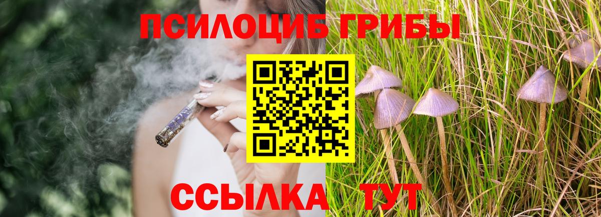 Псилоцибиновые грибы мицелий Озёры